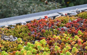 the cost of Emmbrook green roof installation
